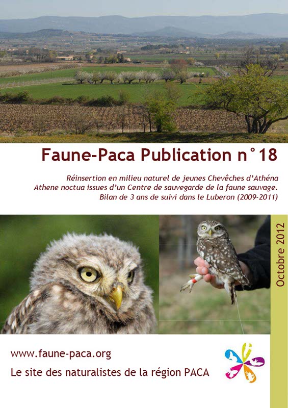 Faune-Paca Publication n°18 Réinsertion en milieu naturel de jeunes Chevêches d’Athéna Athene noctua issues d’un Centre de sauvegarde de la faune sauvage. Bilan de 3 ans de suivi dans le Luberon (2009-2011)