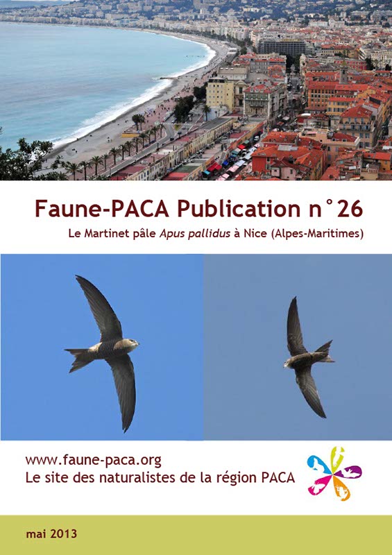 Faune-PACA Publication n°26 : Le Martinet pâle Apus pallidus à Nice (Alpes-Maritimes)