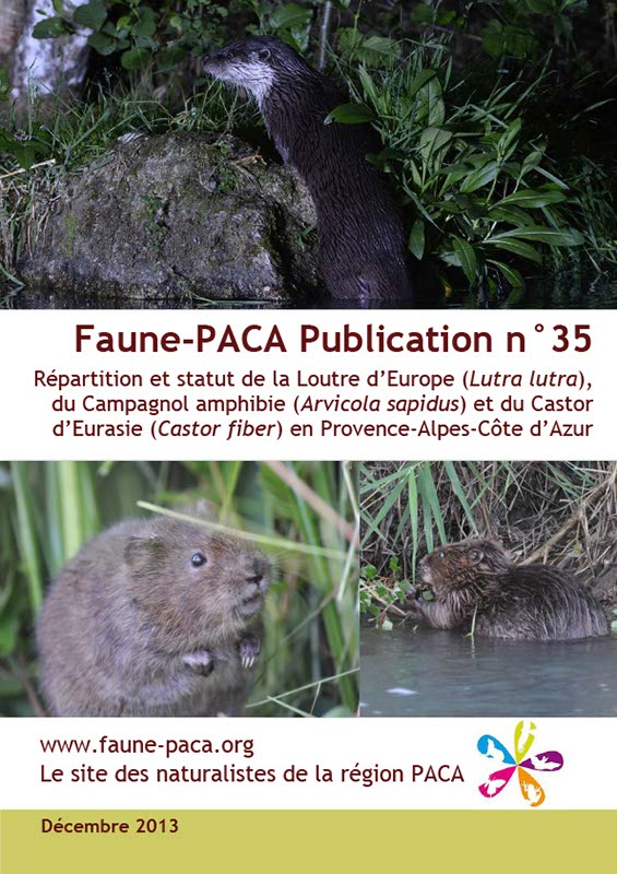 Faune-PACA Publication n°35 : Répartition et statut de la Loutre d’Europe (Lutra lutra), du Campagnol amphibie (Arvicola sapidus) et du Castor d’Eurasie (Castor fiber) en Provence-Alpes-Côte d’Azur
