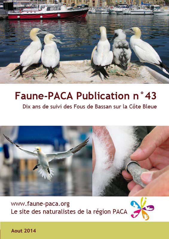 Faune-PACA Publication n°43 : Dix ans de suivi des Fous de Bassan sur la Côte Bleue