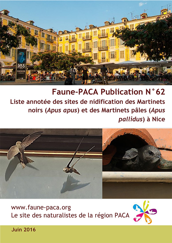 Faune-Paca Publication n°62 : Liste annotée des sites de nidification des Martinets noirs (Apus apus) et des Martinets pâles (Apus pallidus) à Nice