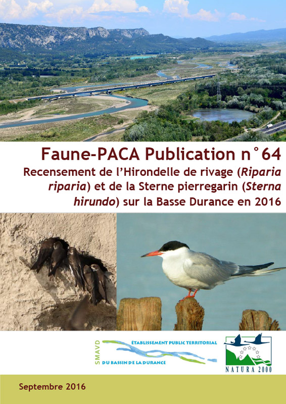 Faune-Paca Publication n°64 : Recensement de l’Hirondelle de rivage (Riparia riparia) et de la Sterne pierregarin (Sterna hirundo) sur la Basse Durance en 2016 Septembre