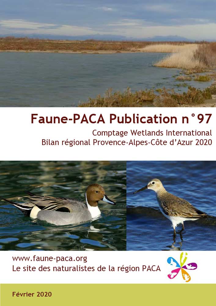 Faune-PACA Publication n°97 : Comptage Wetlands International Bilan régional Provence-Alpes-Côte d’Azur 2020