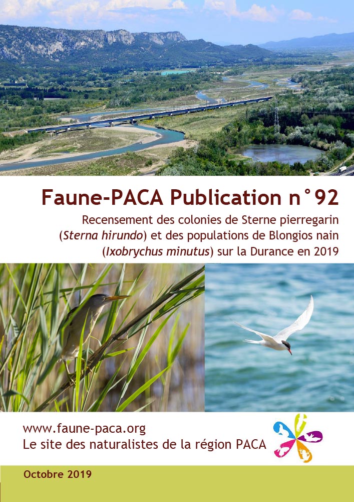 Faune-PACA Publication n°92 : Recensement des colonies de Sterne pierregarin (Sterna hirundo) et des populations de Blongios nain (Ixobrychus minutus) sur la Durance en 2019
