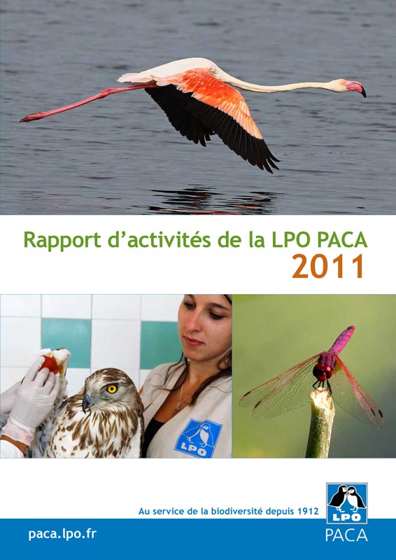Rapport d'activités 2011