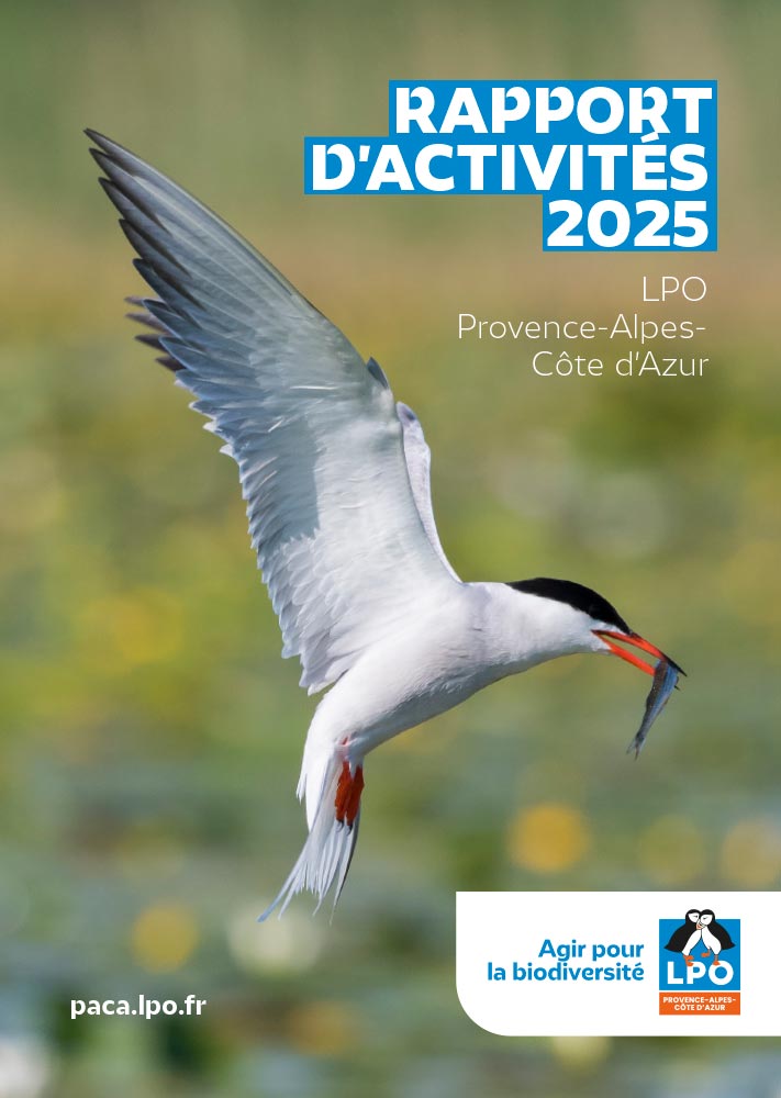 Rapport d'activités 2025
