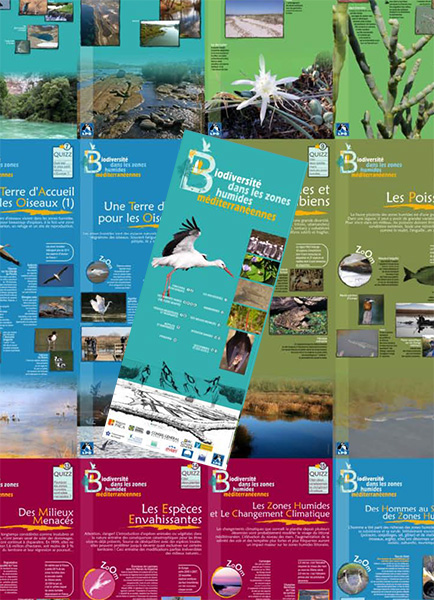 Exposition LPO PACA La biodiversite dans les zones humides