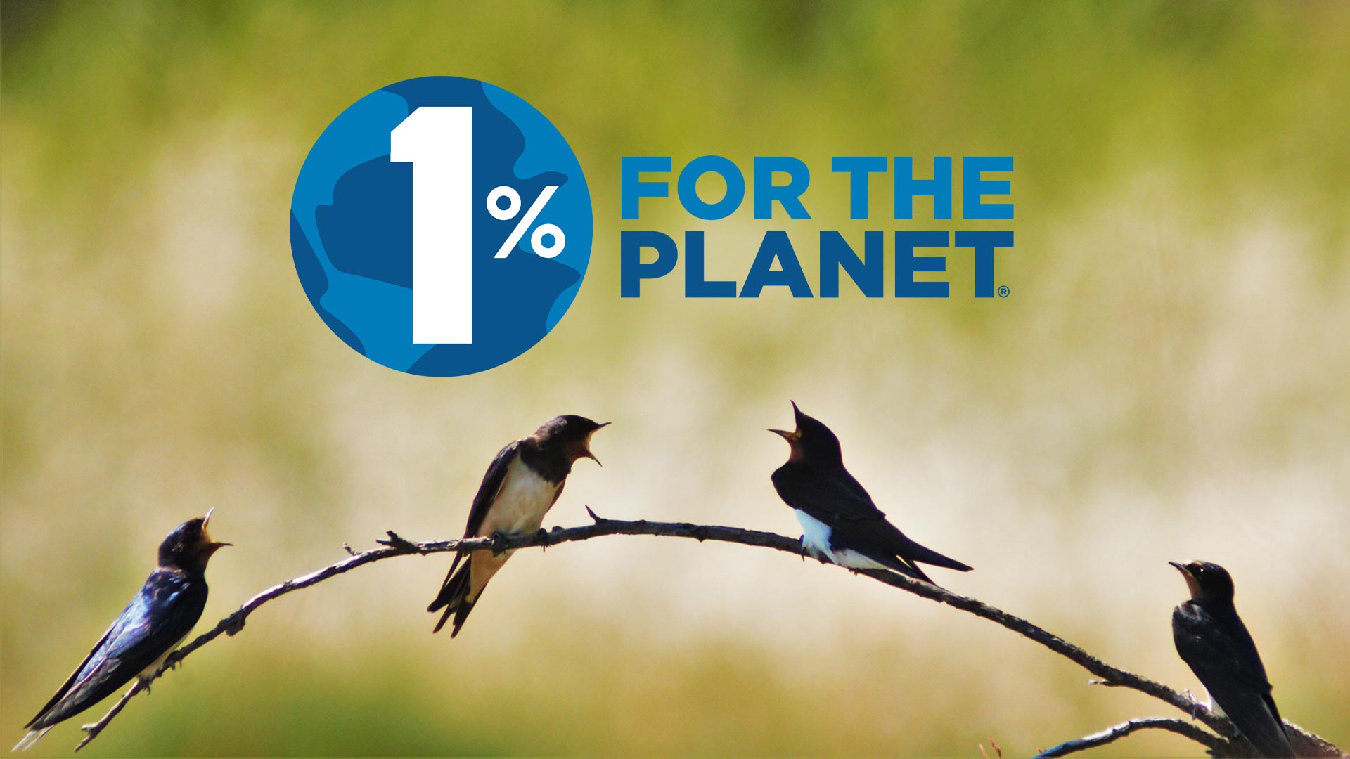 1% for the planet