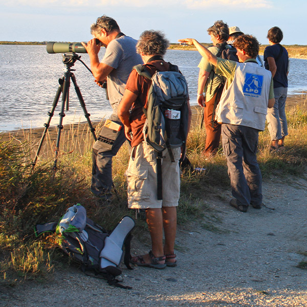 Formation naturalistes - LPO PACA