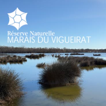 Réserve naturelle nationale des Marais du Vigueirat