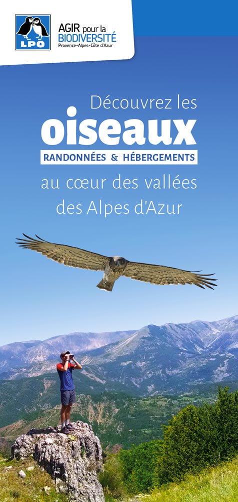 Carte découverte "Les oiseaux au coeur des vallées des Alpes"