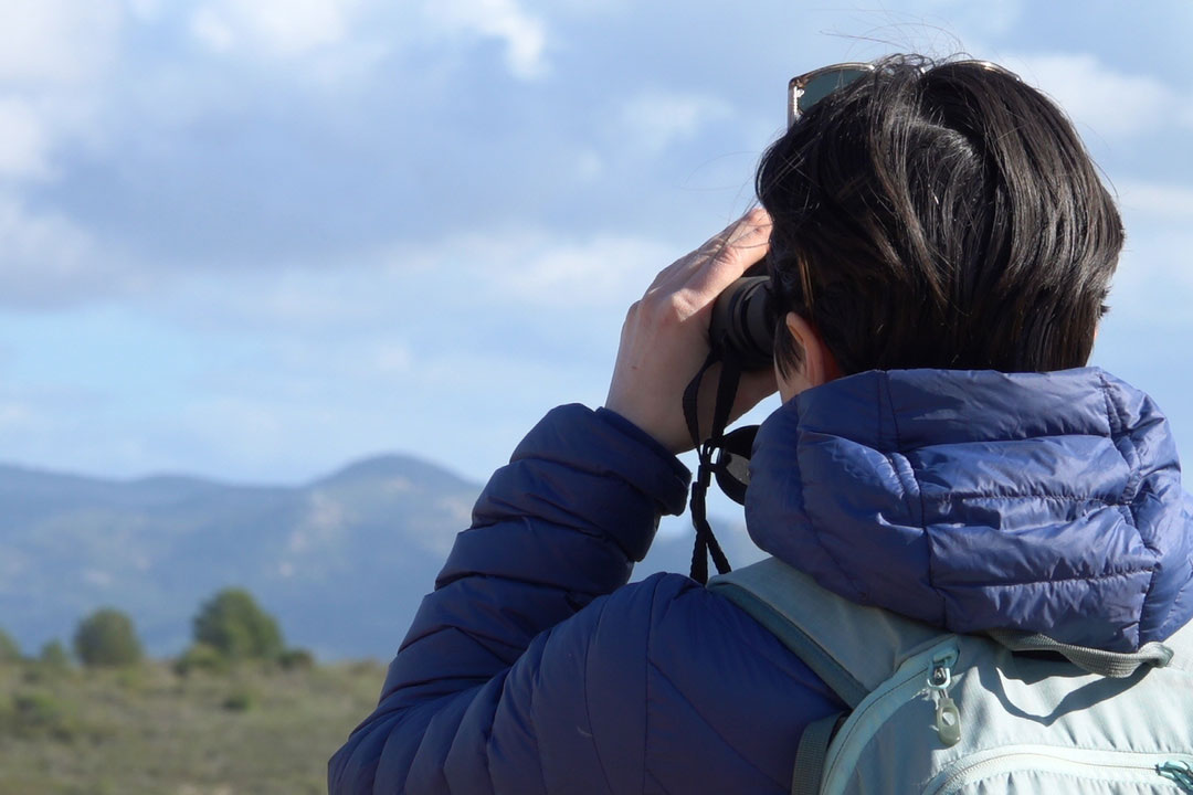 Observation naturaliste - Annaëlle FRANCIA