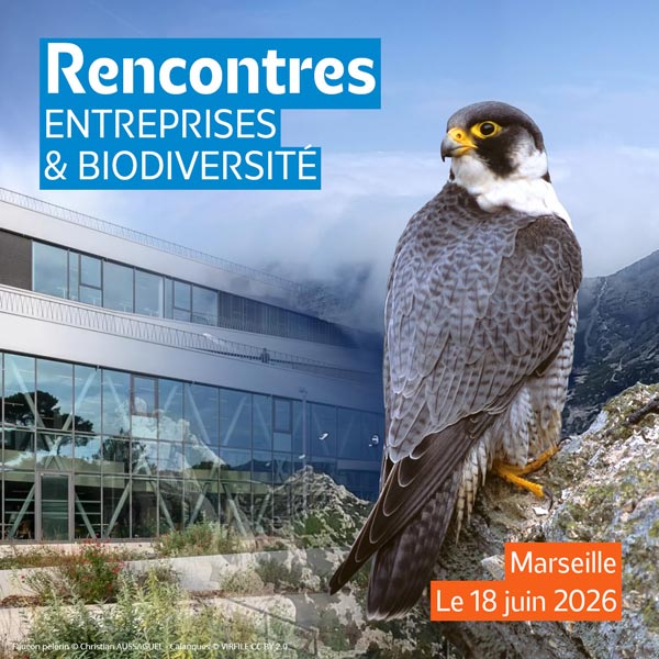 Rencontres entreprises et biodiversité