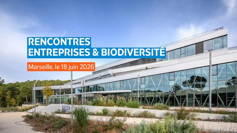 Rencontres entreprises - KEDGE