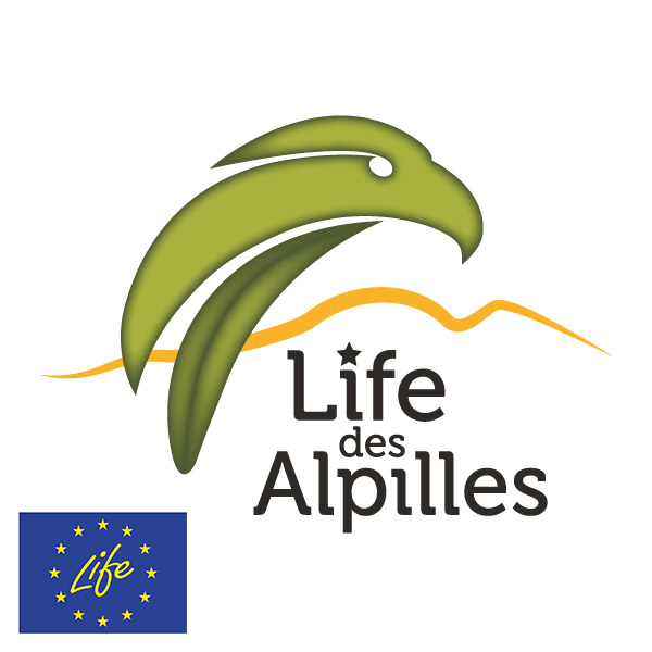 Life des oiseaux des Alpilles