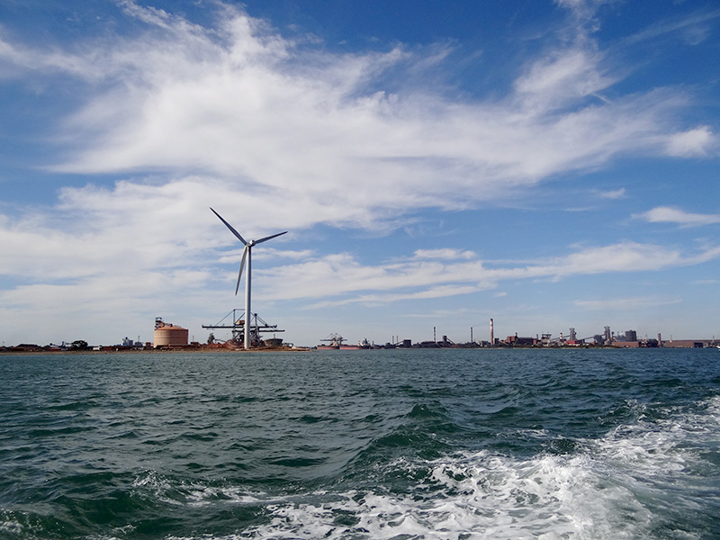 la LPO PACA a accompagné l’installation des éoliennes dans le port méthaniers du Port autonome de Marseille - Photo André Schont