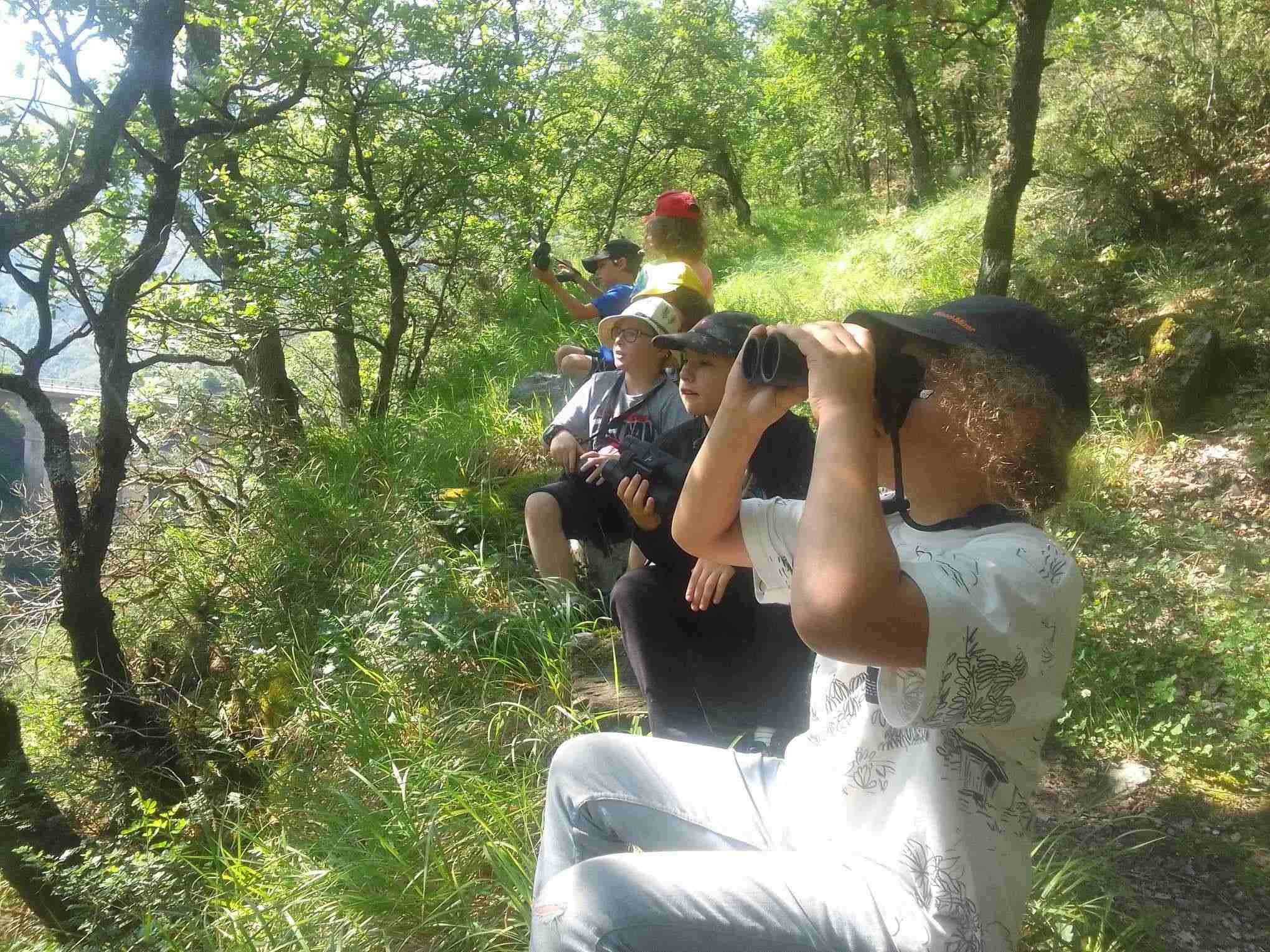 La Réserve accompagne la petite école de Daluis dans la réalisation d’un projet d’Aire Terrestre Educative - LPO PACA