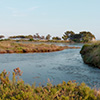 Salins de Hyères - photo d'Elise Cougnenc