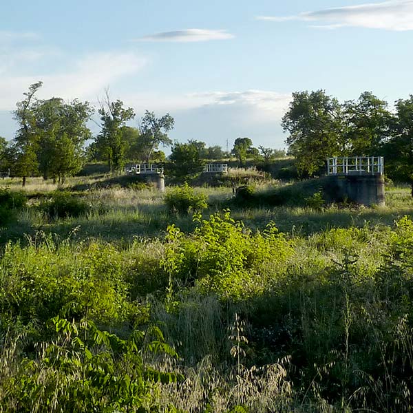 Site des champs captant du Syndicat des Eaux Rhône Ventoux © LPO PACA