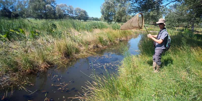 Inventaire des odonates © LPO PACA