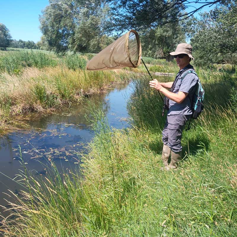 Inventaire des odonates © LPO PACA