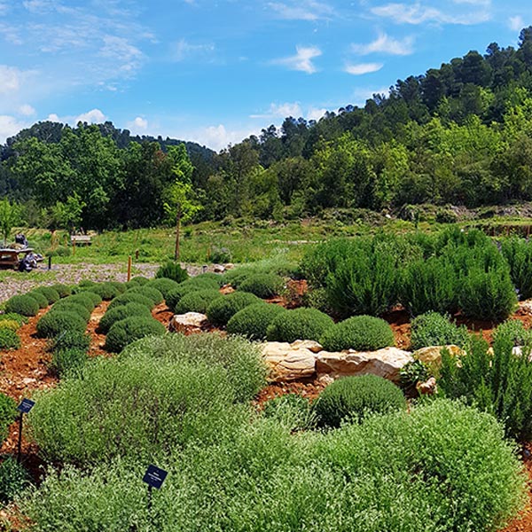 Jardin à papillons de L'Escarelle © Marion Fouchard