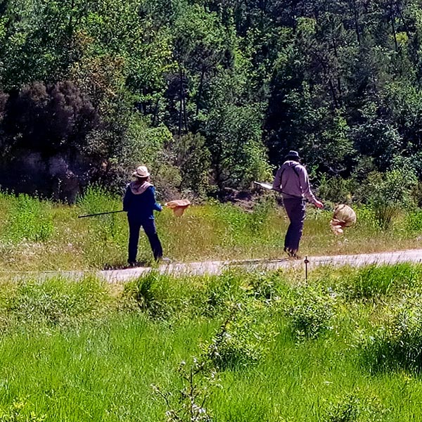 Suivi naturaliste au Château de L'Escarelle © Marion Fouchard