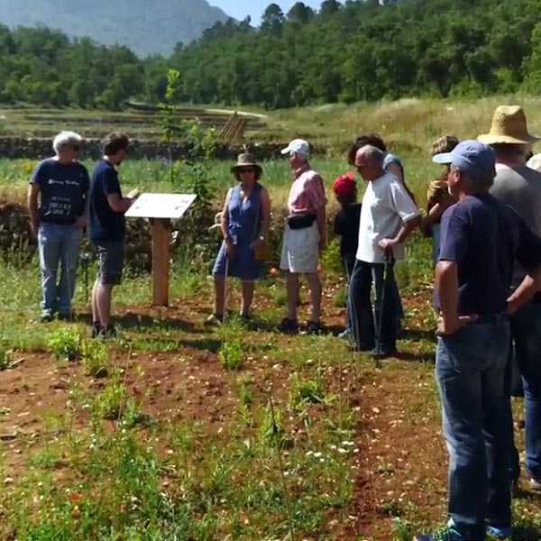 Visite guidée du jardin à papillons