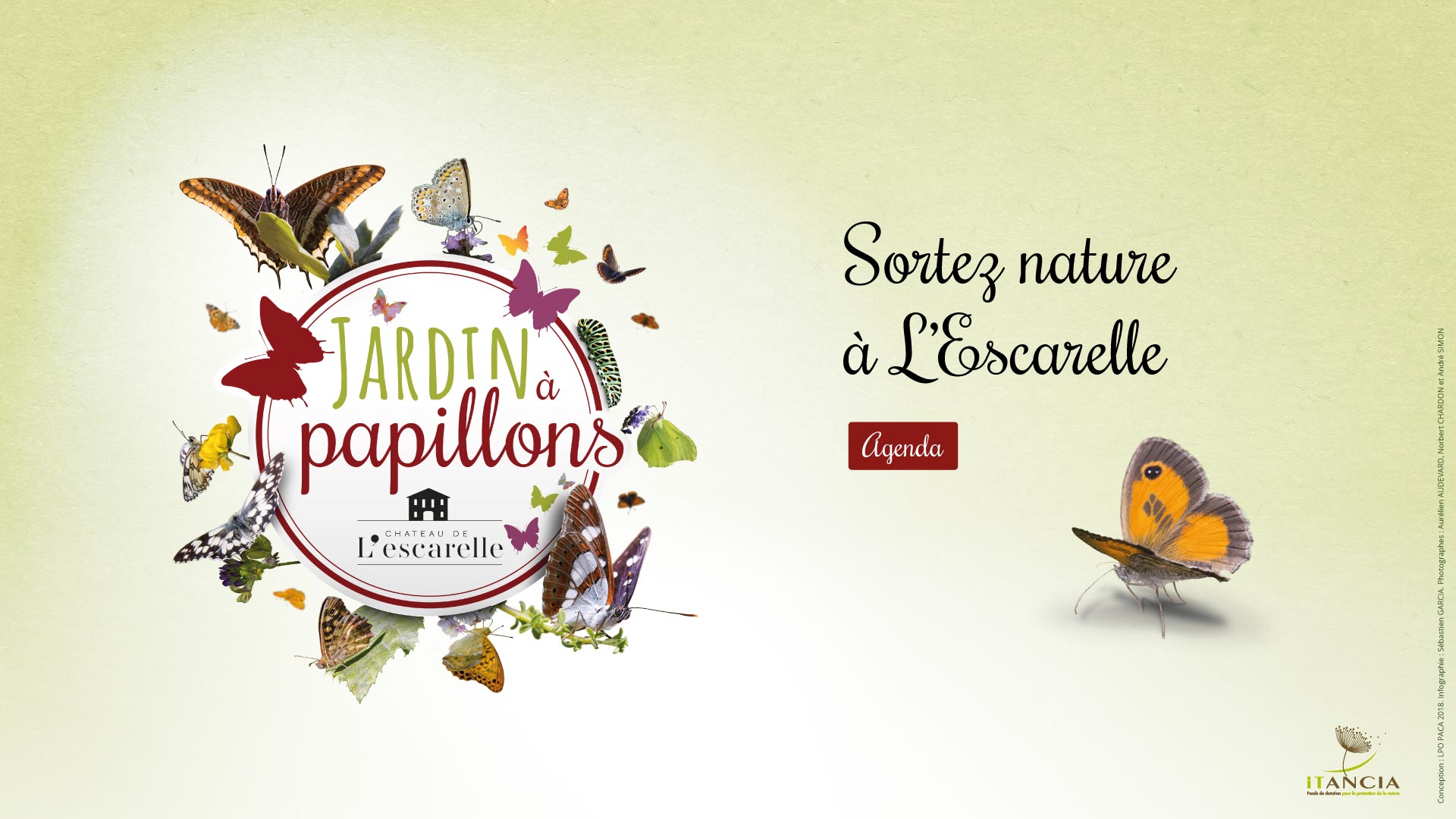 Jardin à papillons du Château de l'Escarelle