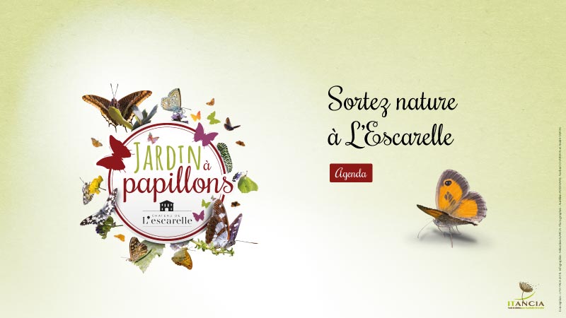 Jardin à papillons du Château de l'Escarelle
