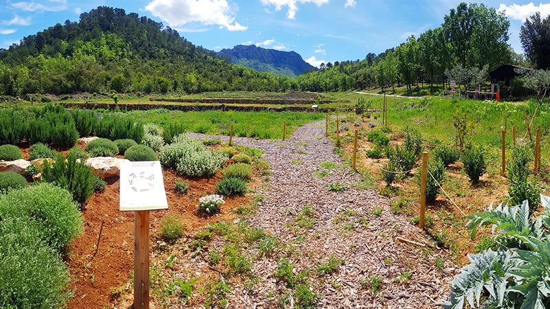 jardin à papillons du Château de L'Escarelle © Marion Fouchard jardin à papillons du Château de L'Escarelle © Marion Fouchard