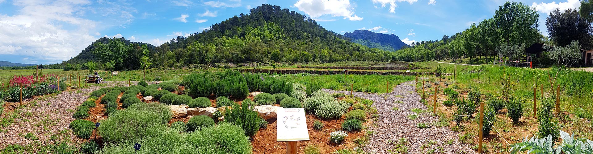 jardin à papillons du Château de L'Escarelle © Marion Fouchard jardin à papillons du Château de L'Escarelle © Marion Fouchard