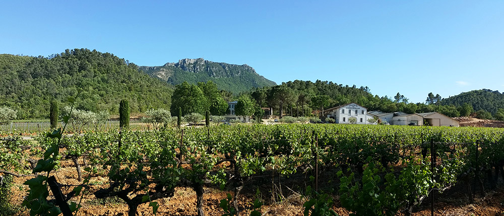Domaine de l'Escarelle © Marine Bertini
