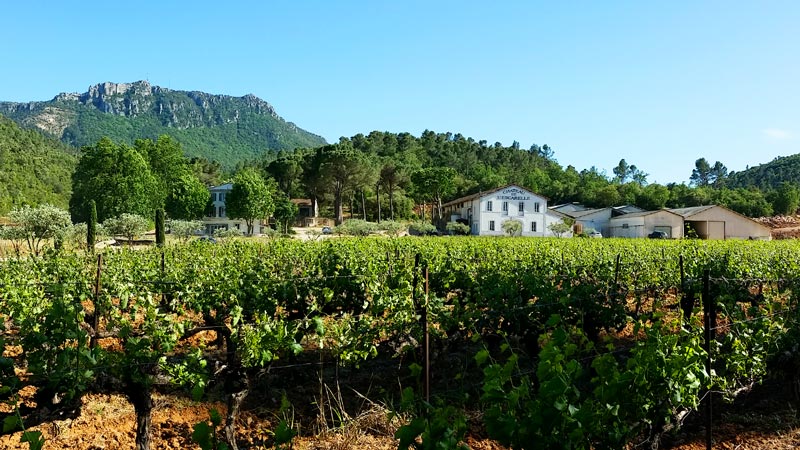 Domaine de L'Escarelle © Aurélien Audevard