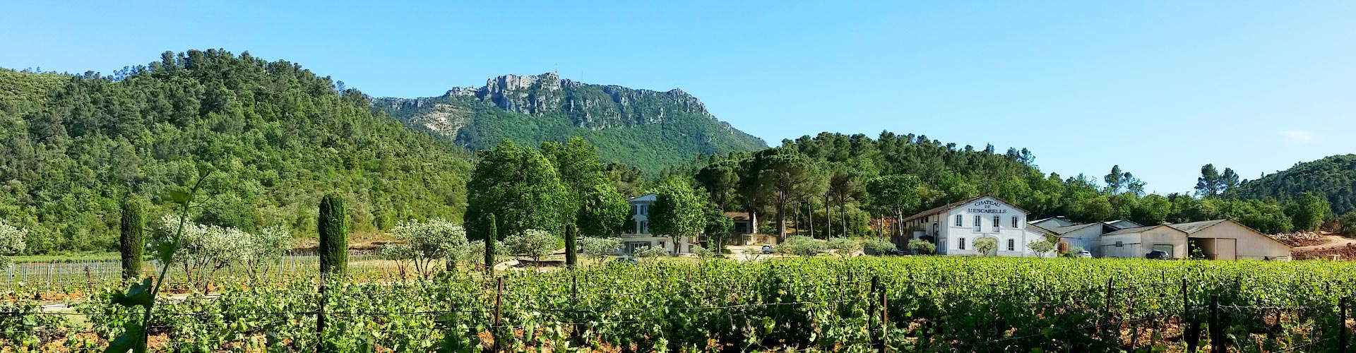 Domaine de L'Escarelle © Aurélien Audevard