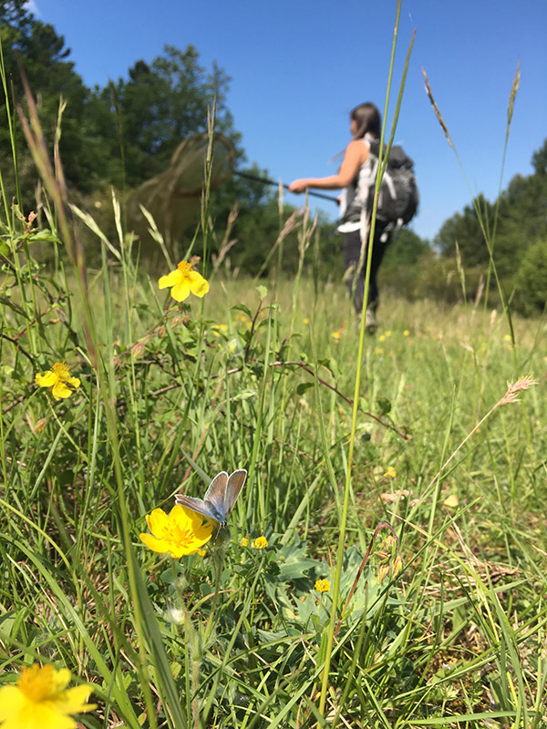 Suivi naturaliste au Domaine de l'Escarelle © Marine Bertini