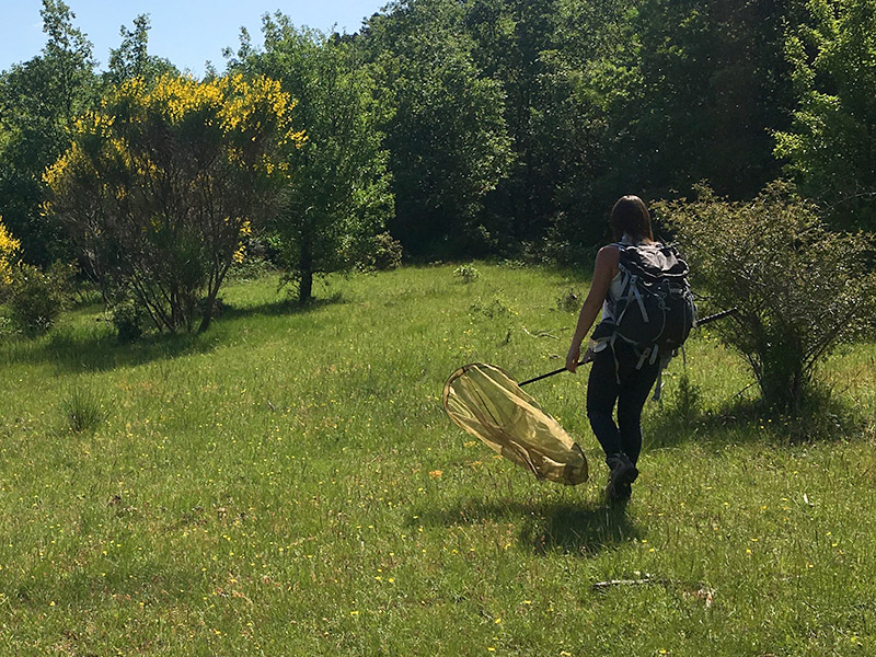 Suivi naturaliste au Domaine de l'Escarelle © Marine Bertini