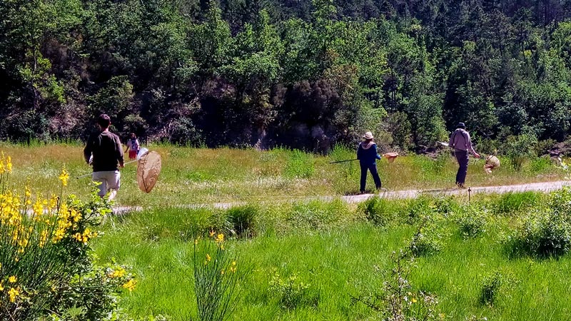 Suivi naturaliste du Château de L'Escarelle © Marion Fouchard Suivi naturaliste du Château de L'Escarelle © Marion Fouchard
