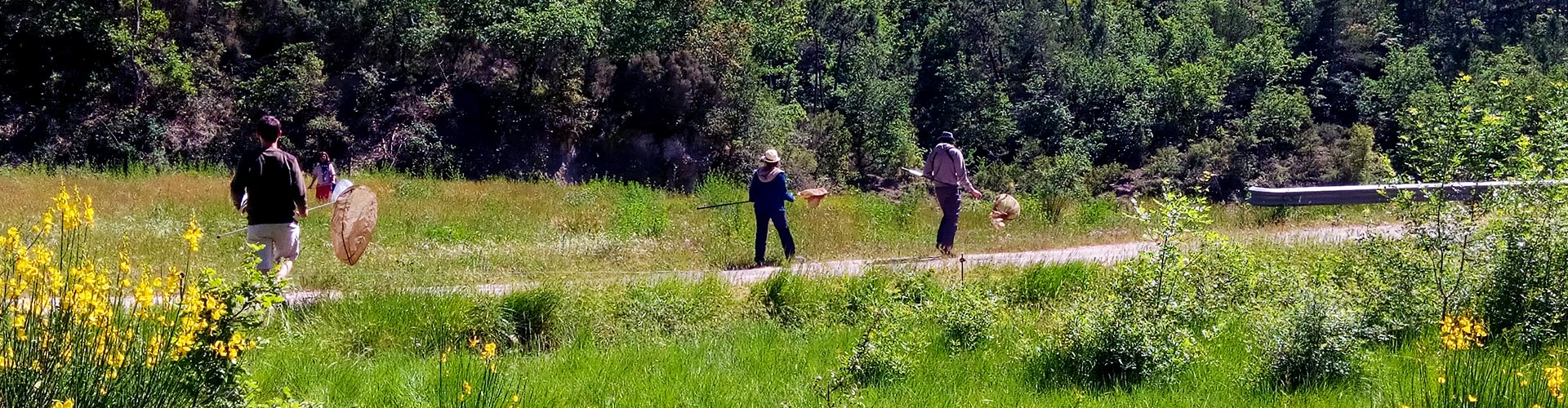 Suivi naturaliste du Château de L'Escarelle © Marion Fouchard Suivi naturaliste du Château de L'Escarelle © Marion Fouchard