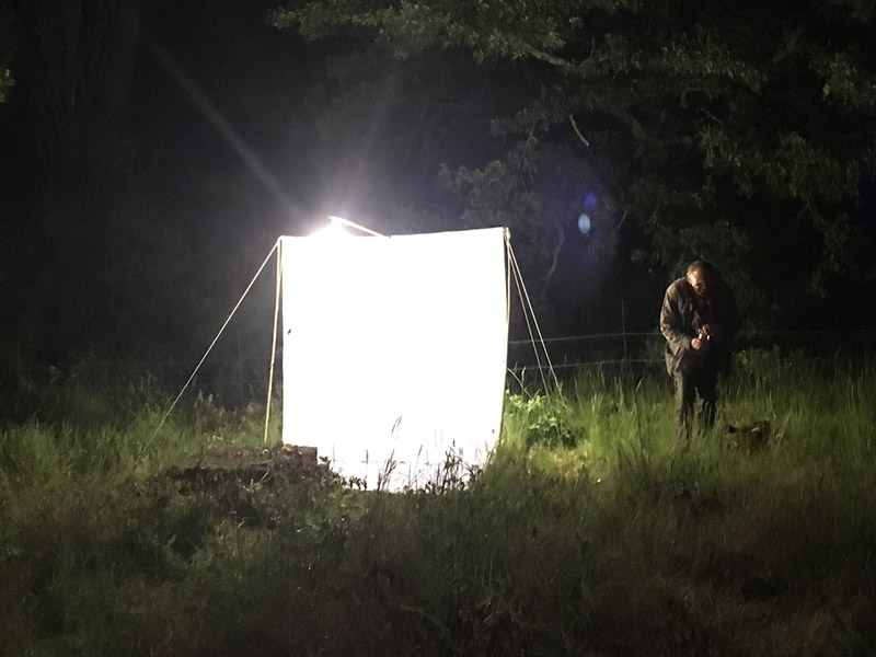 Suivi naturaliste nocturne au Domaine de l'Escarelle © Marine Bertini