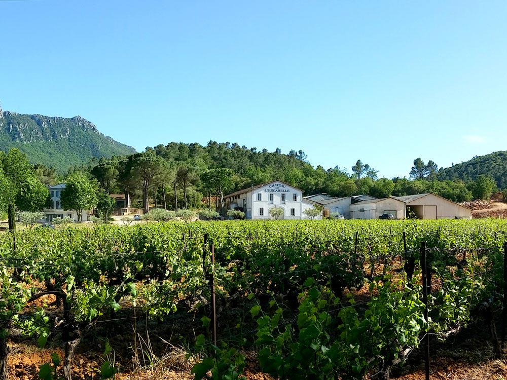Domaine de L'Escarelle © Aurélien Audevard