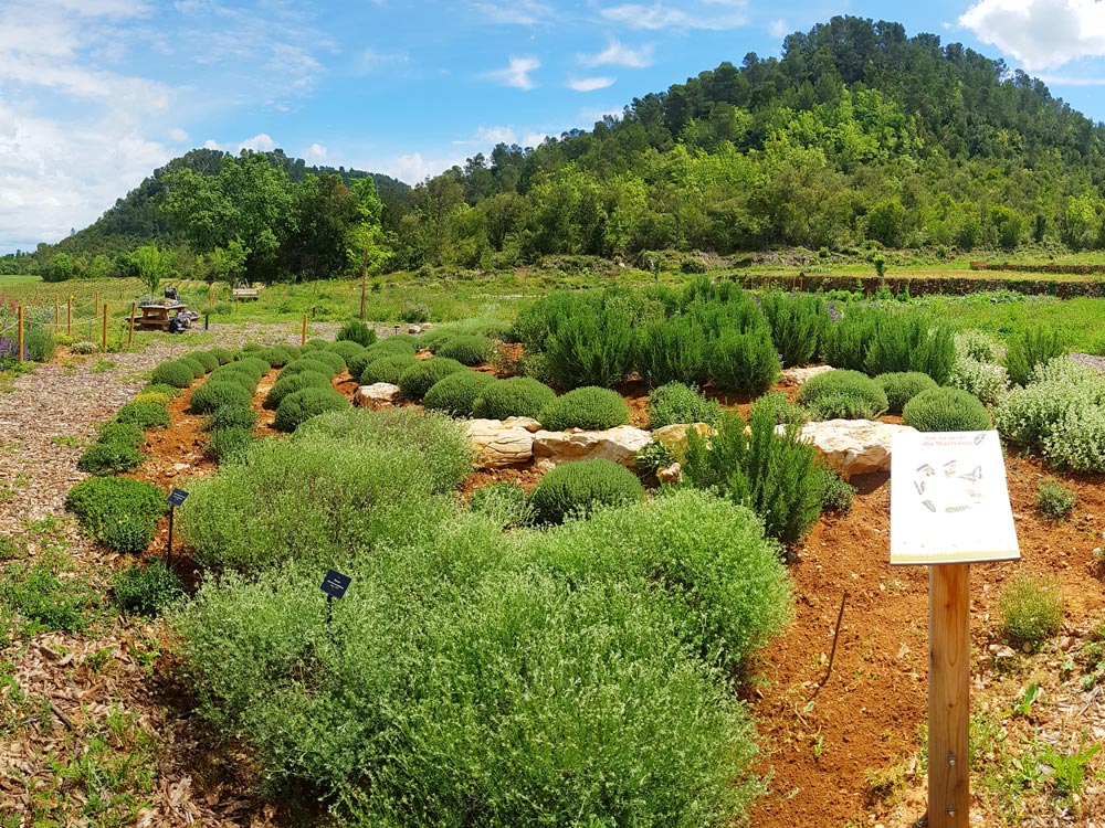 Jardin à papillons du Château de L'Escarelle © Marion Fouchard