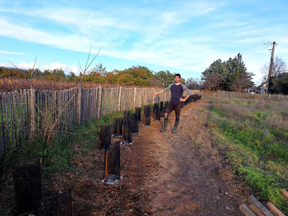 Plantation d’une haie dans le cadre du programme « Une chouette, un village » © LPO PACA