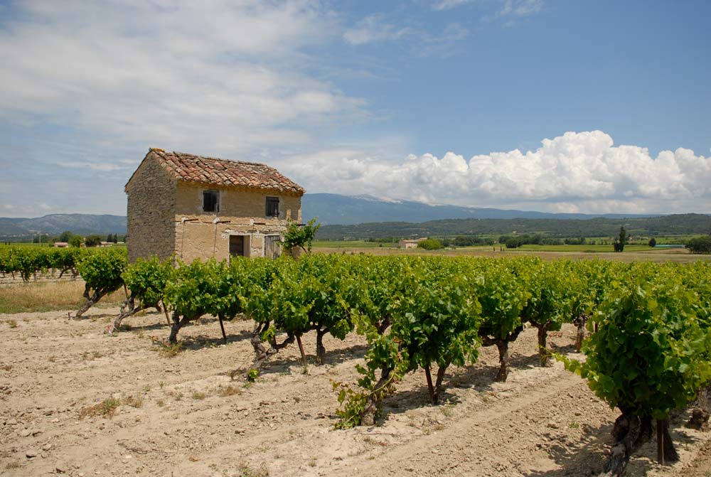 Cabanon dans la plaine de Mazan - Olivier Hameau Cabanon dans la plaine de Mazan - Olivier Hameau