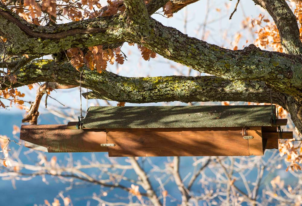 Nichoir équipé d’un tube anti-prédation © Olivier HAMEAU