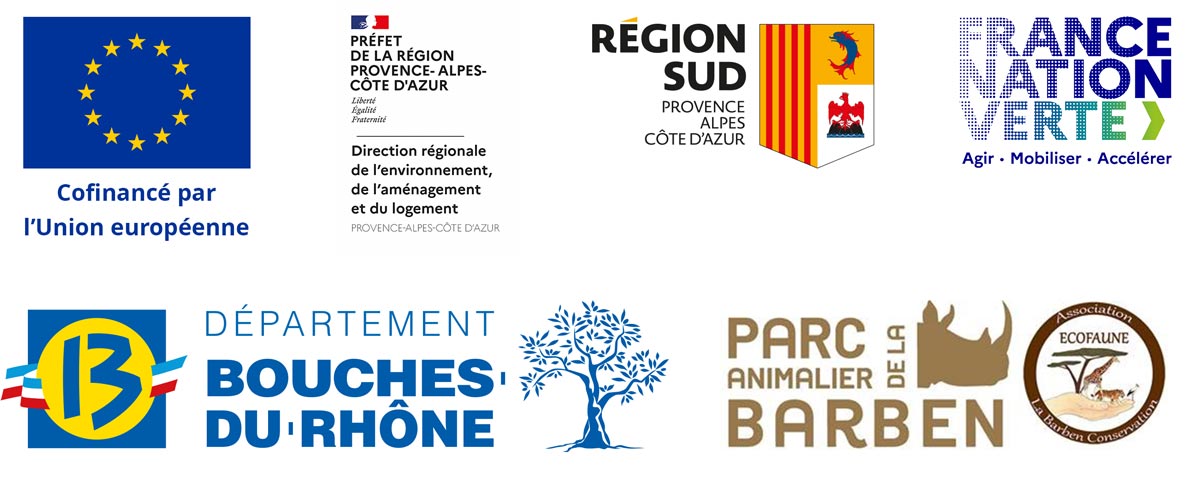Partenaires