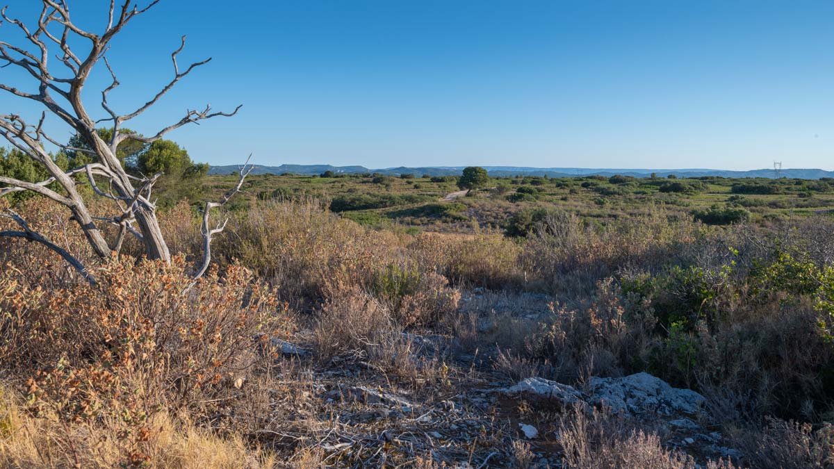 Garrigues de Lançon - Olivier Hameau