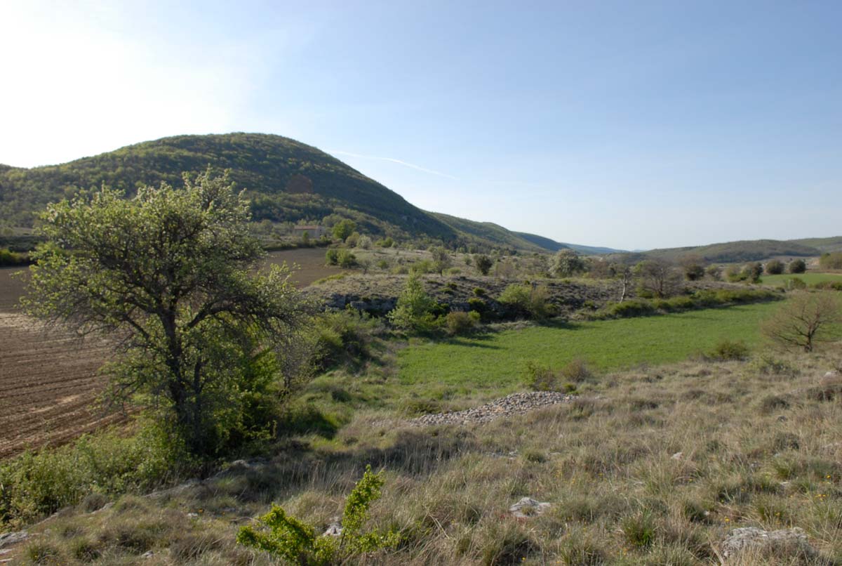 Piemonts de Lure - Olivier Hameau