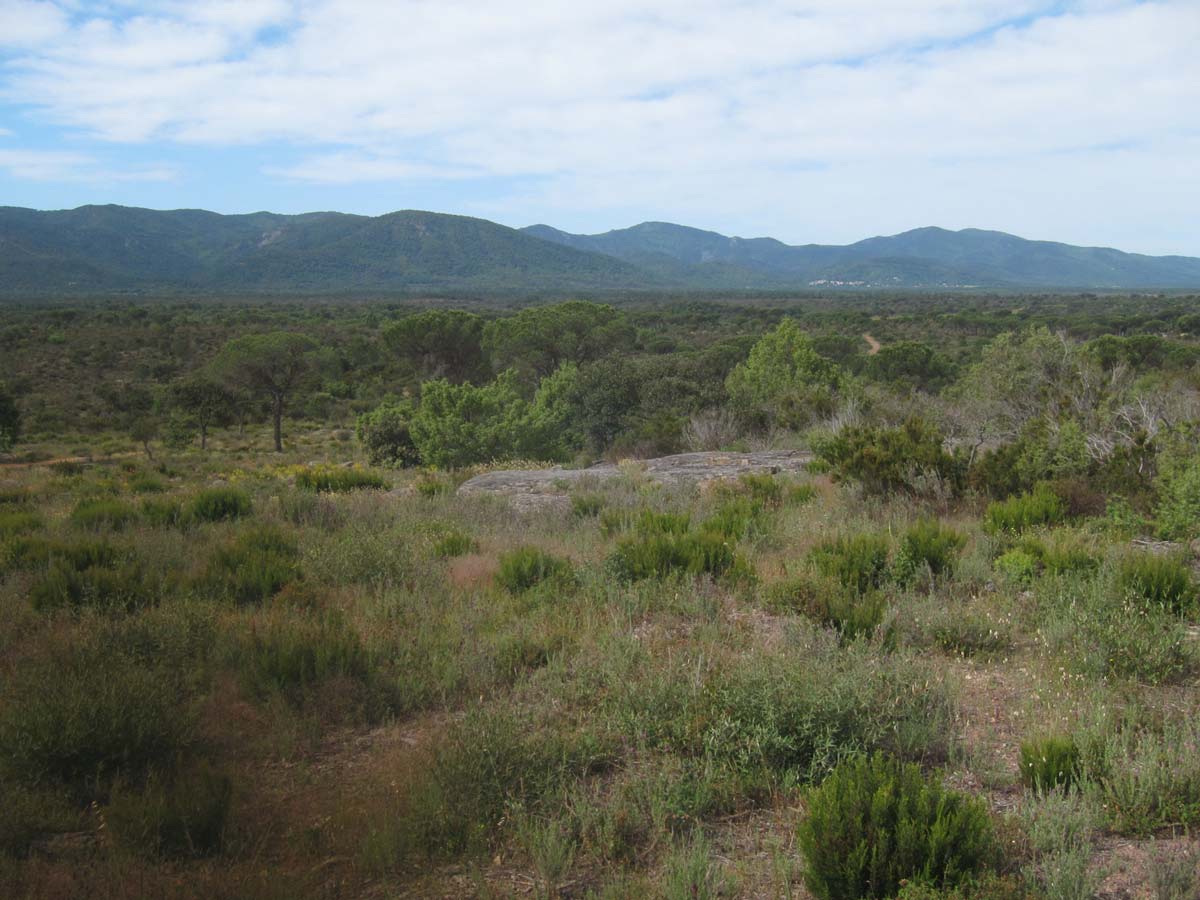 Plaine des Maures - Olivier Hameau